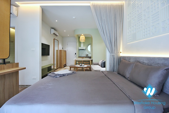 Nice Design Apartment for rent in Dang Thai Mai, Tay Ho